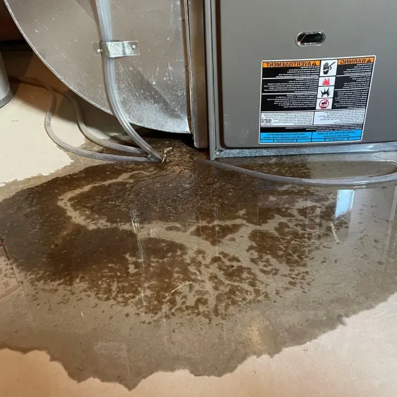 Pipe Burst and Leak Restoration in Fort Campbell North, KY