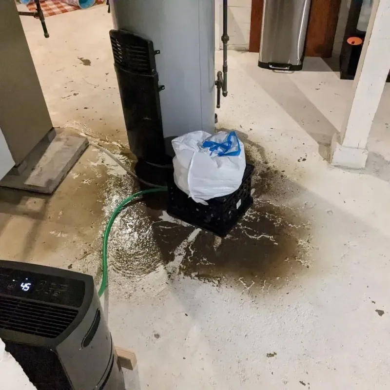 Sewage Backup Cleanup Service in Fort Campbell North, KY